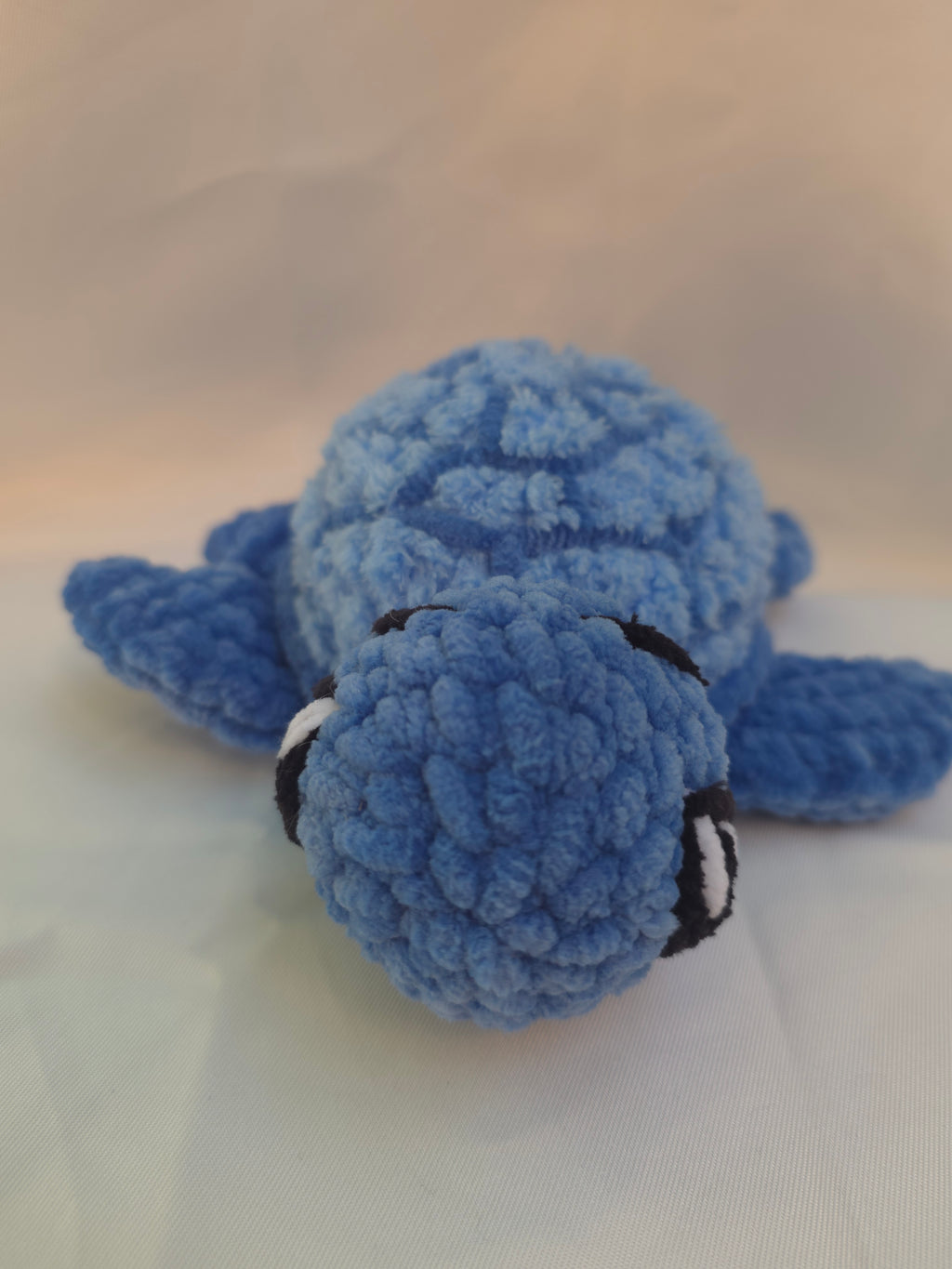 🐢 tortue de mer bleue