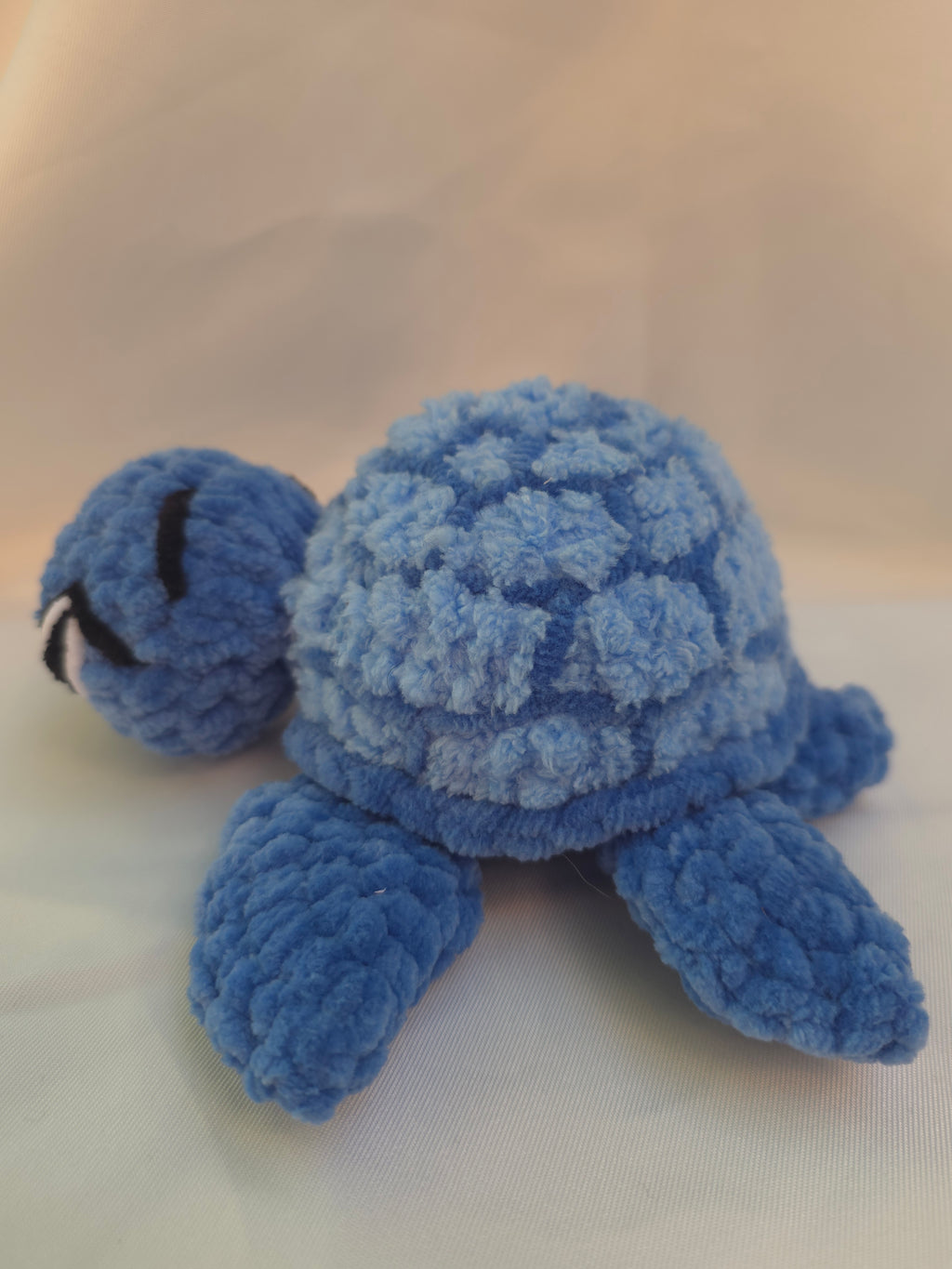 🐢 tortue de mer bleue