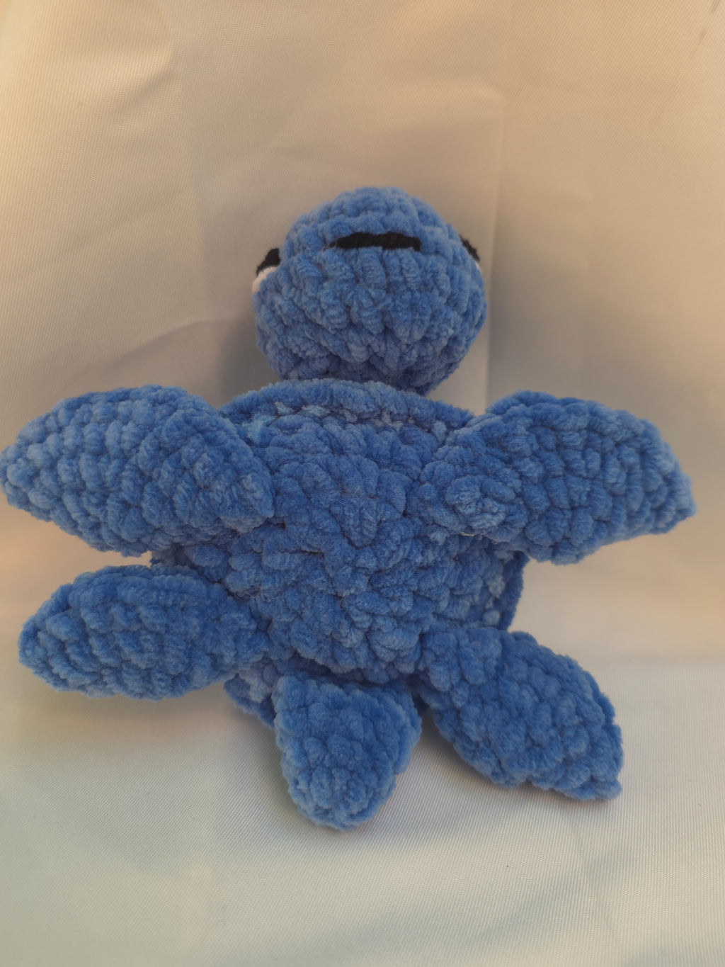 🐢 tortue de mer bleue