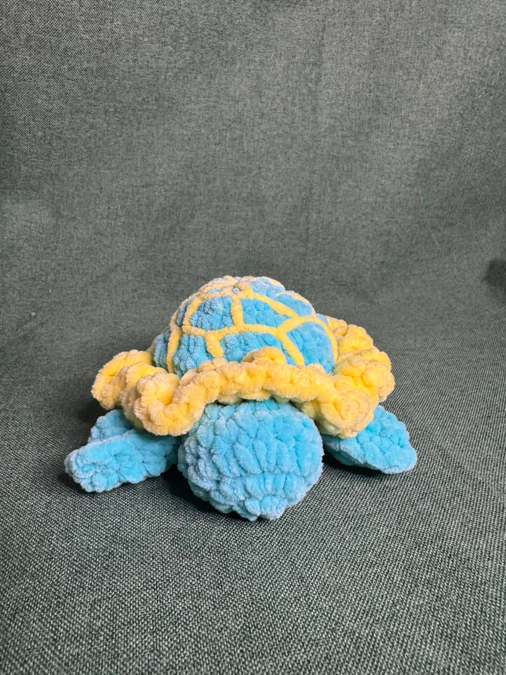 Maria la tortue 🐢