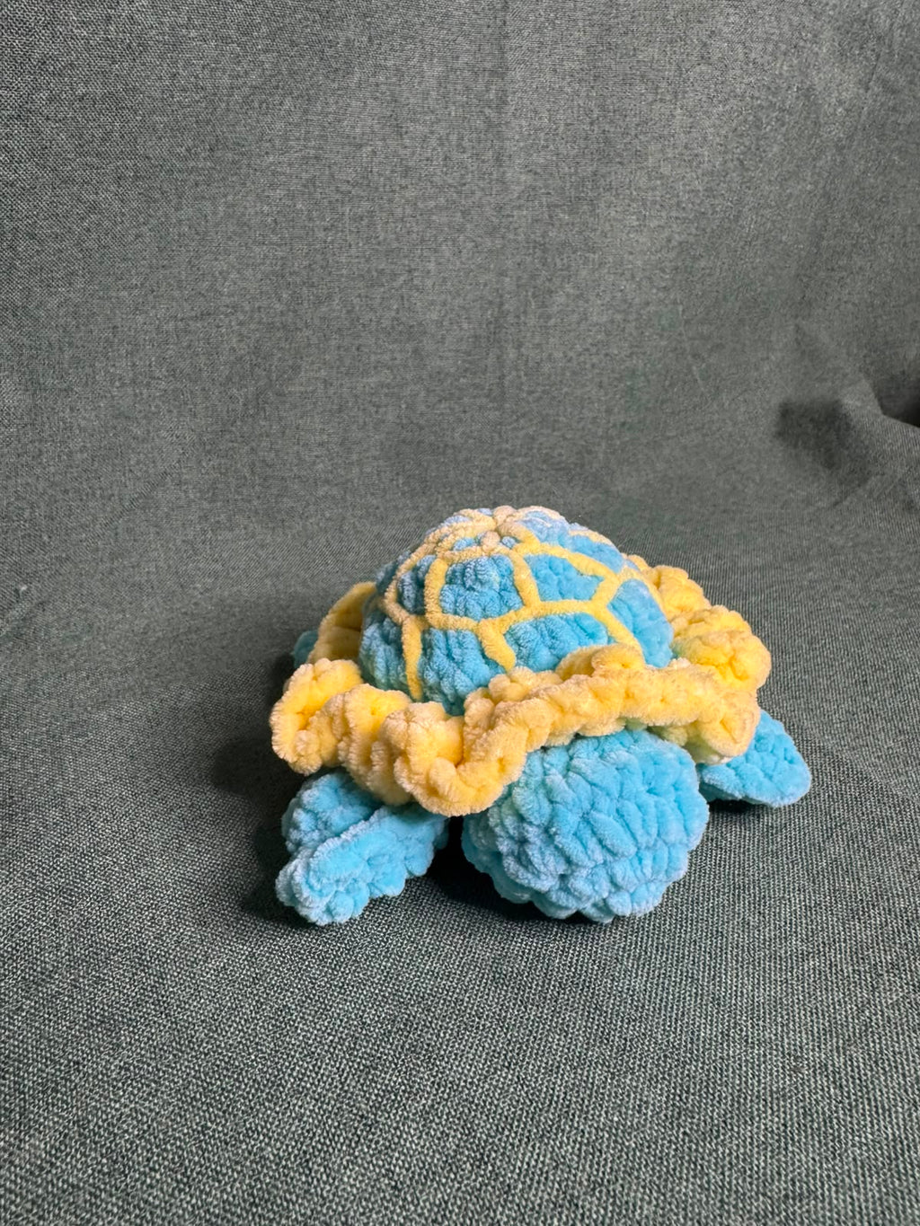 Maria la tortue 🐢