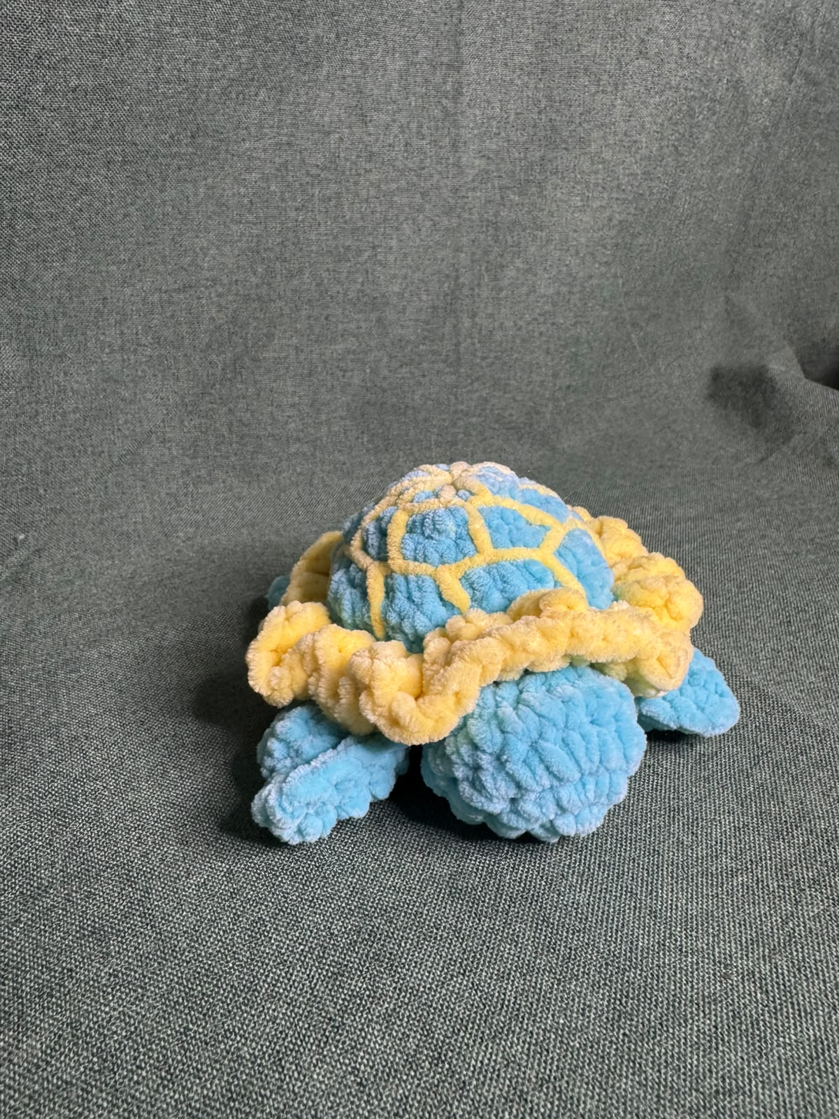 Maria la tortue 🐢