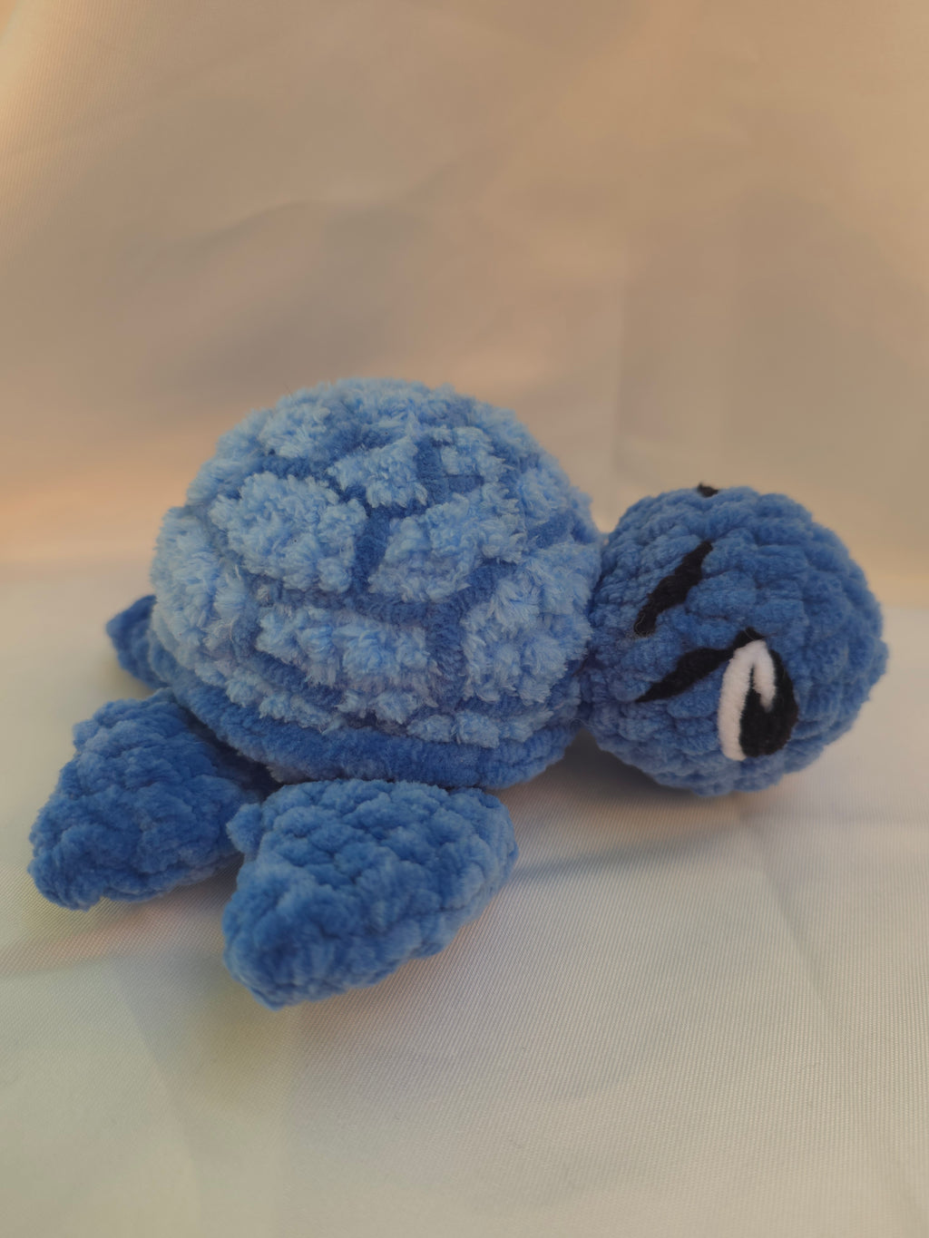 🐢 tortue de mer bleue